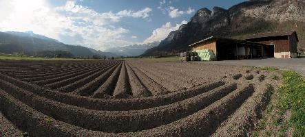 Agriculture near Flums, soil, alps, production, farm, ploughed, earth, rural, converging, flums, trees, sankt, barn, mountain, swiss, alpine, walenstadt, point, farmhouse, outdoor, switzerland, agricultural, gallen, nature, valley, sky, arable, meadows, vanishing, farming, meadow, horizon, travel, hill, mountains, evening, rows, countryside, fields, field, landscape, house