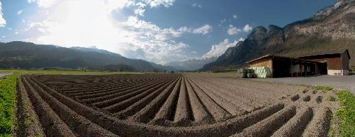 Agriculture in Flums, soil, alps, production, farm, ploughed, earth, rural, converging, flums, trees, sankt, barn, mountain, swiss, alpine, walenstadt, point, farmhouse, outdoor, switzerland, agricultural, gallen, nature, valley, sky, arable, meadows, vanishing, farming, meadow, horizon, travel, hill, mountains, evening, rows, countryside, fields, field, landscape, house