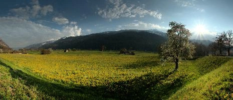 dsd_006098-dsd_006124.jpg