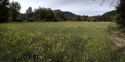 dse_001944-dse_001949.jpg