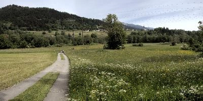 dse_002014-dse_002018.jpg