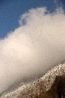 dse_008987_6066523_2020_12_10_13_01_13_70_02_00.jpg