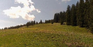 dse_015945-dse_015952_6066523_2022_05_15_10_52_53_68_01_00.jpg