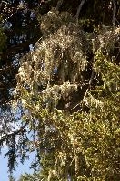 dse_015973_6066523_2022_05_15_11_04_03_75_01_00.jpg