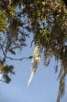 dse_015995_6066523_2022_05_15_11_12_58_81_01_00.jpg