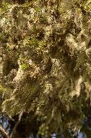 dse_015998_6066523_2022_05_15_11_14_28_46_01_00.jpg