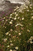 dse_016017_6066523_2022_05_27_15_41_04_04_01_00.jpg
