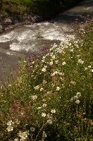 dse_016018_6066523_2022_05_27_15_41_06_35_01_00.jpg