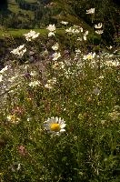 dse_016023_6066523_2022_05_27_15_41_56_76_01_00.jpg
