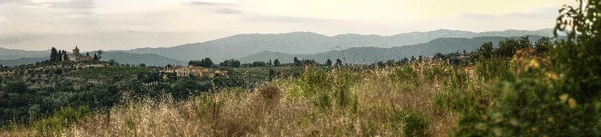 mantiuk_9298-mantiuk_9307.jpg