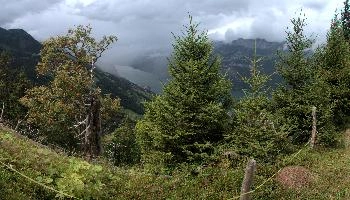 dsc_177114-dsc_177125.jpg
