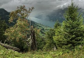 dsc_177126-dsc_177137.jpg