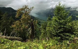 dsc_177174-dsc_177185.jpg