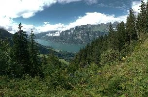 dsc_177609-dsc_177632.jpg