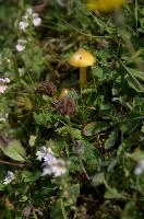 dsc_177676.jpg