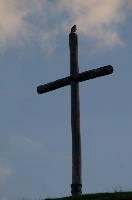 dsc_183077.jpg