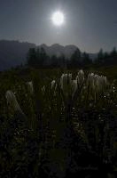 dsc_259181.jpg