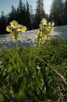 dsc_259320.jpg