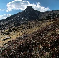 dsc_281337-dsc_281342.jpg