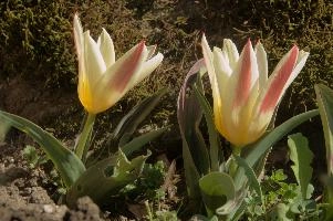 dsc_160211.jpg