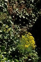 dsc_162276.jpg
