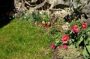dsc_162280.jpg