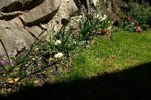 dsc_162282.jpg
