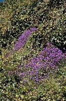 dsc_162305.jpg