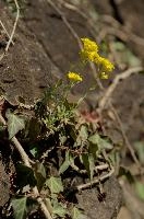 dsc_162333.jpg