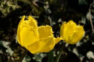 dsc_204188.jpg