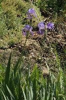 dsc_211901.jpg