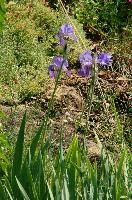 dsc_211902.jpg