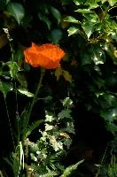 dsc_211979.jpg