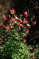 dsc_215848.jpg