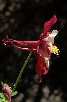 dsc_215860.jpg