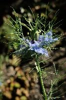 dsc_216844.jpg
