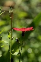 dsc_222565.jpg