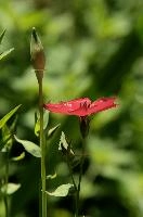dsc_222568.jpg