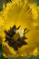 dsc_252843.jpg