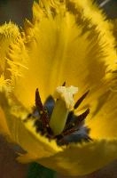 dsc_252856.jpg