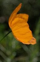 dsc_256004.jpg