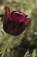 dsc_256014.jpg