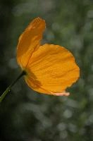 dsc_256021.jpg