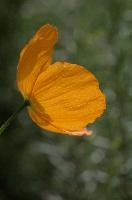 dsc_256024.jpg