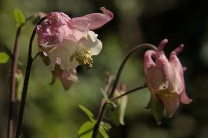 dsc_256112.jpg