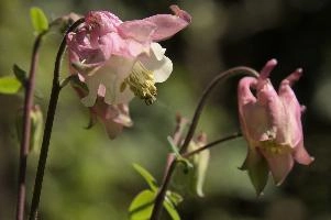 dsc_256114.jpg