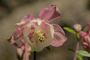 dsc_256122.jpg