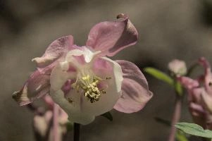 dsc_256123.jpg
