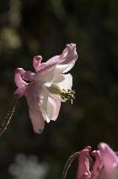 dsc_256309.jpg