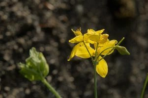 dsc_256342.jpg